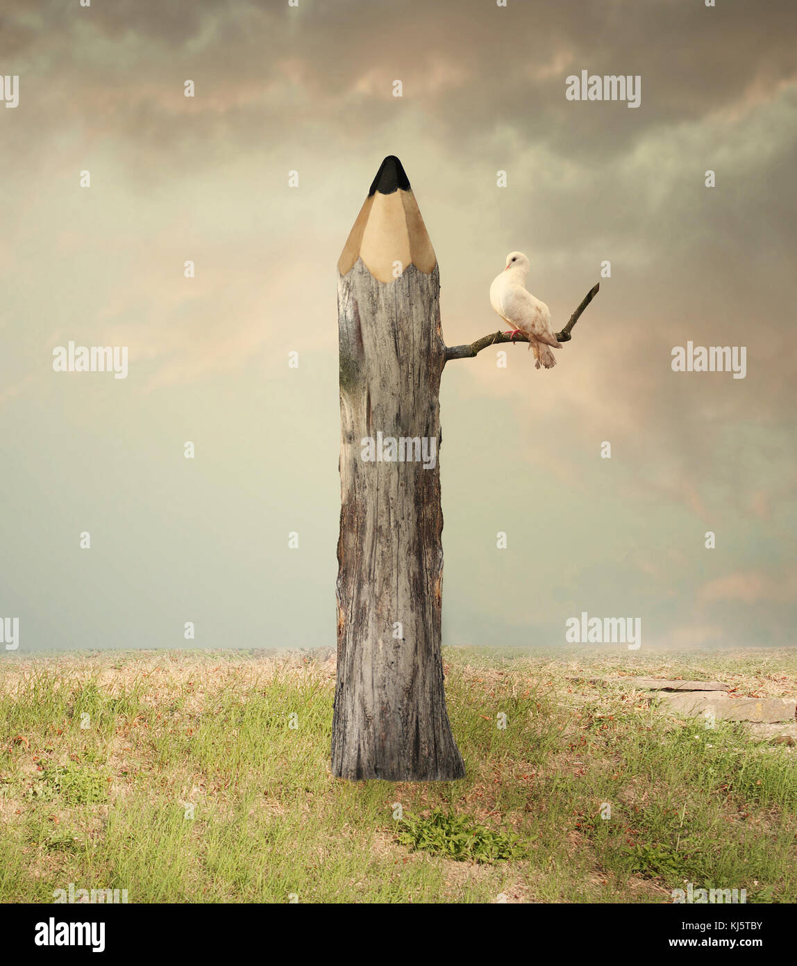 Illustration surréaliste imaginer représentant un crayon comme un arbre avec une colombe sous une branche avec un beau ciel et l'herbe Banque D'Images