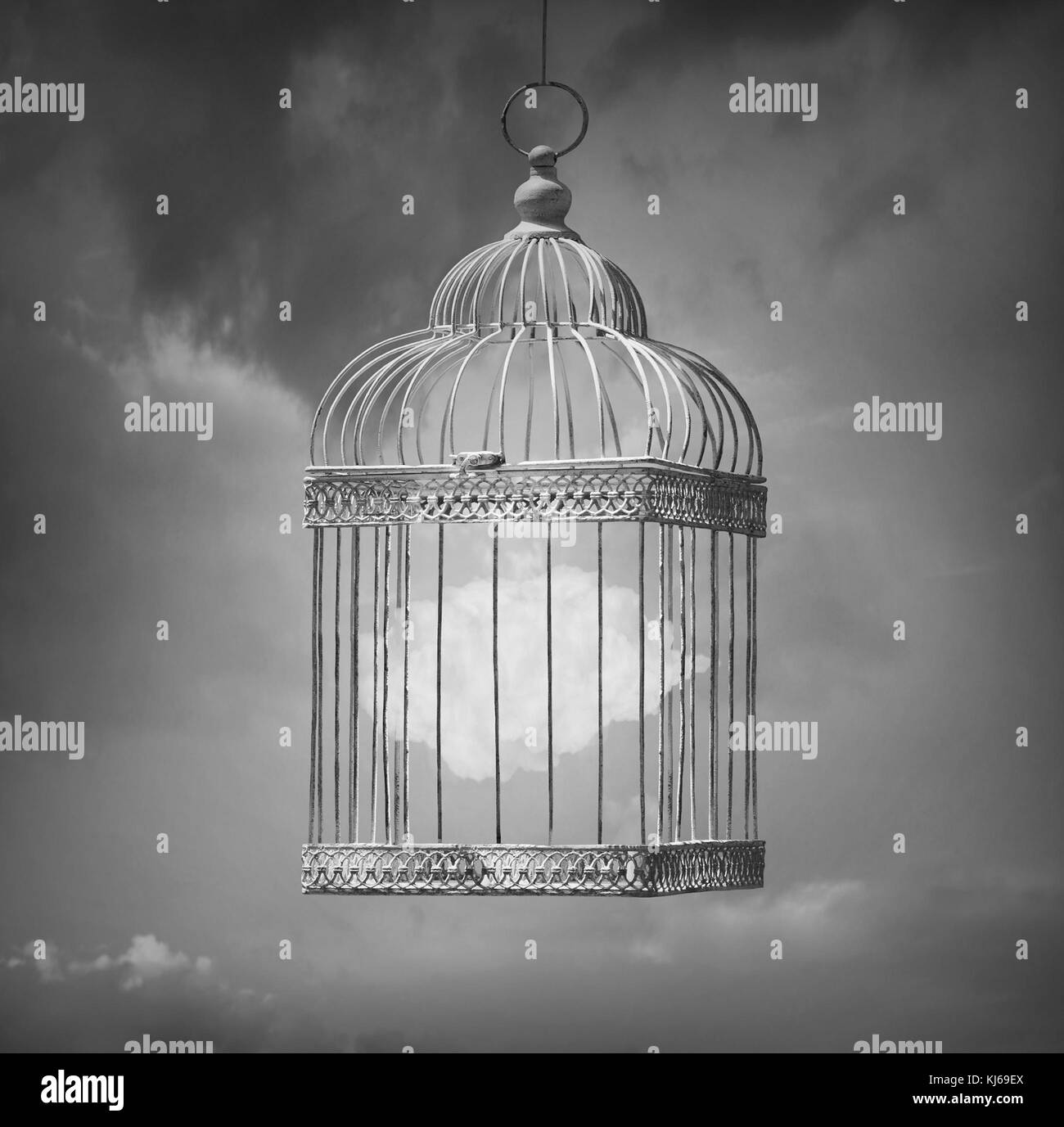 Image de rêve en noir et blanc qui représentent un nuage dans une cage  Photo Stock - Alamy