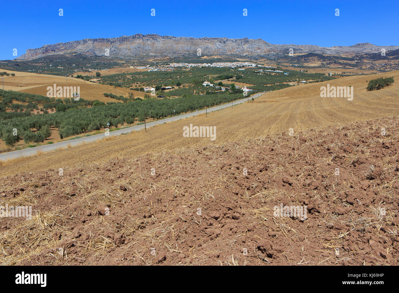 Vue panoramique sur le karst des formations rocheuses d'El Torcal de Antequera, réserve naturelle située au sud de la ville d'Antequera, Espagne Banque D'Images