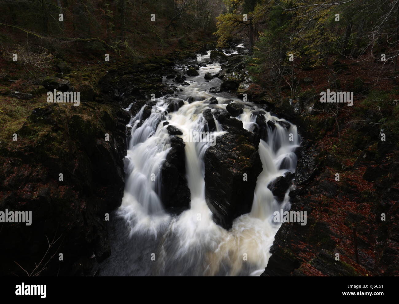 Rivière braan cascade sur l'ermitage près de Dunkeld, Écosse novembre 2017 Banque D'Images