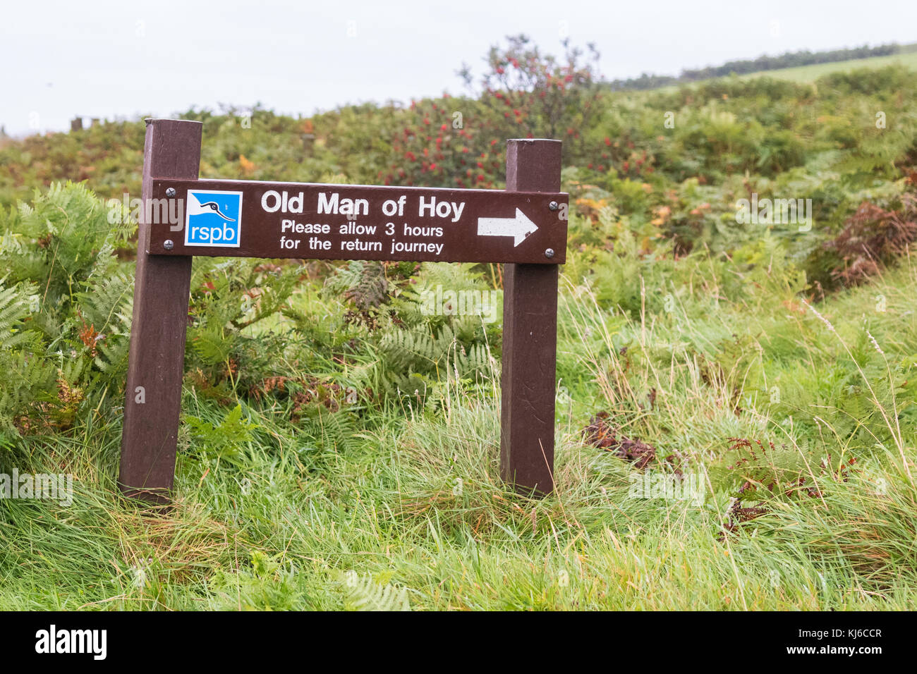 Panneau RSPB Old Man of Hoy Footpath, Hoy, Orkney, Écosse, Royaume-Uni Banque D'Images