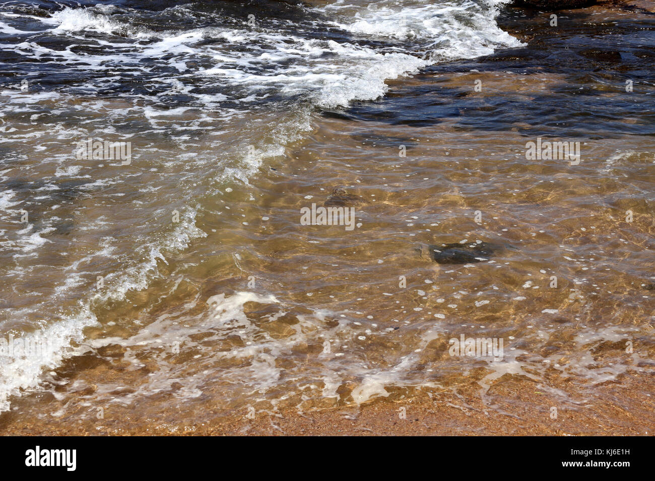 Close-up of shore, Umhlanga Rocks, KwaZulu Natal, Afrique du Sud. Banque D'Images