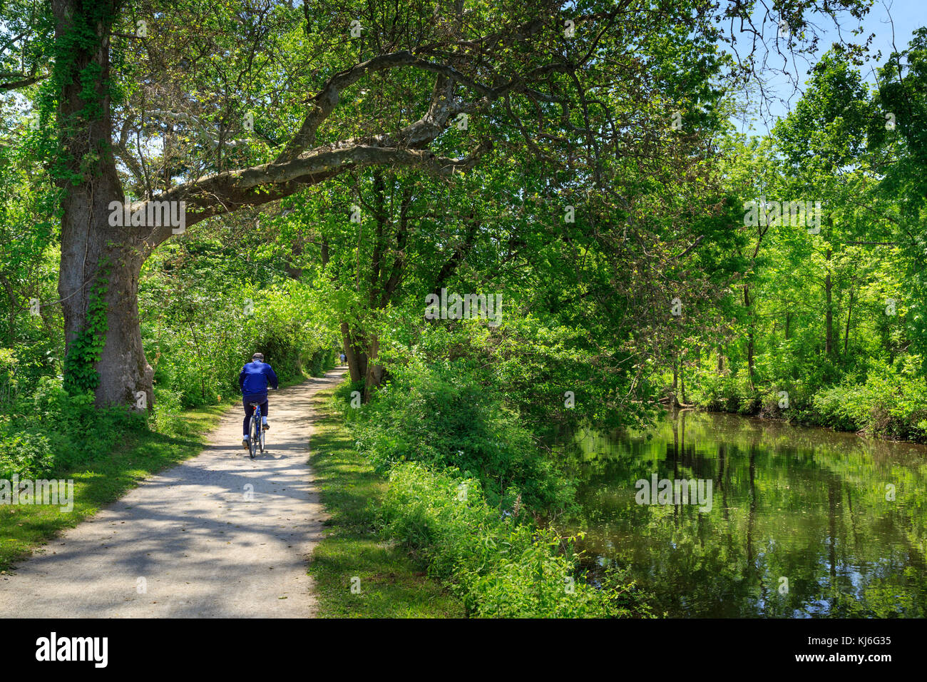 La Delaware River Trail ou État du Delaware et Raritan Canal Park, près de Lambertville, Hunterdon County, New Jersey, USA Banque D'Images