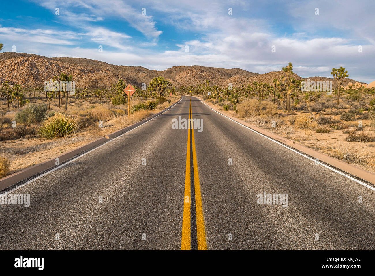 Paysage du Parc National de Joshua Tree en Californie, l'Ouest des Etats-Unis : caribou road Banque D'Images