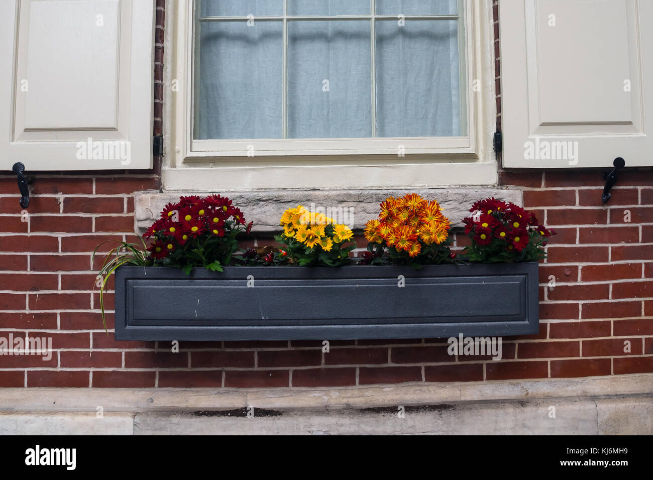 Des fleurs colorées ornent les fenêtres des maisons de la vieille ville, Philadelphie, Pennsylvanie, USA Banque D'Images