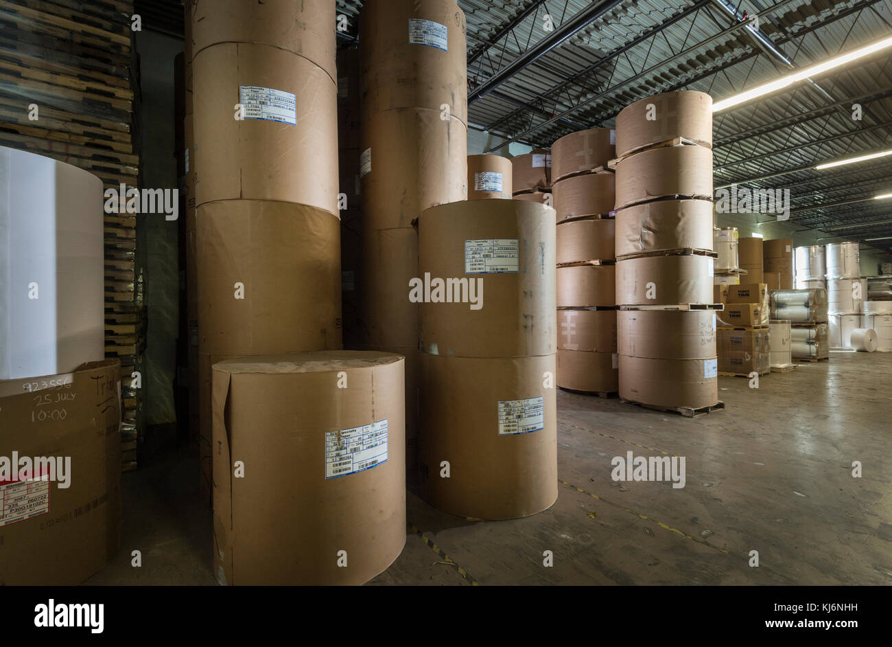 Les rouleaux de papier dans l'entrepôt industriel Banque D'Images