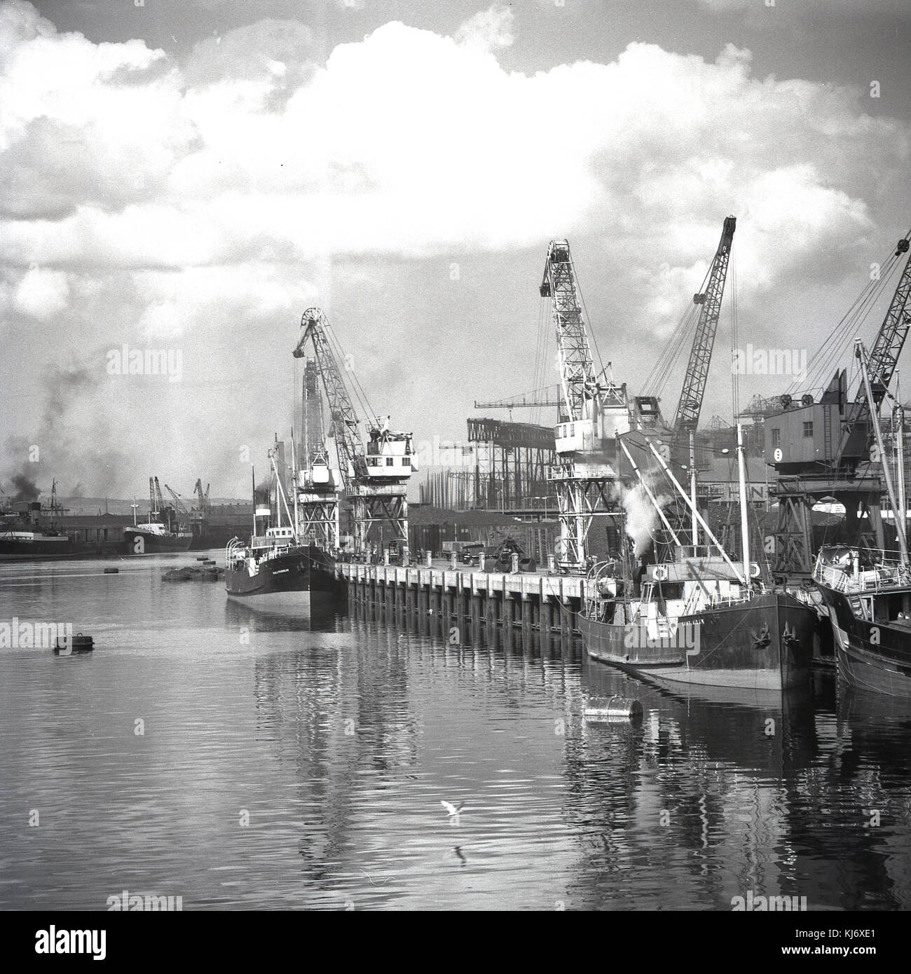 Années 1950, historiques, deux navires à cargaison amarré à quai port de Belfast, Queens' Island, Belfast, Irlande du Nord, juste en haut du géant de la Harland and Wolff shipbuidling cour, dont l'un des portiques peut être vu dans la distance. Banque D'Images