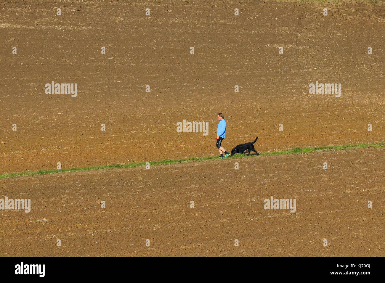 L'homme avec le chien marcher entre les champs, Suisse- Banque D'Images