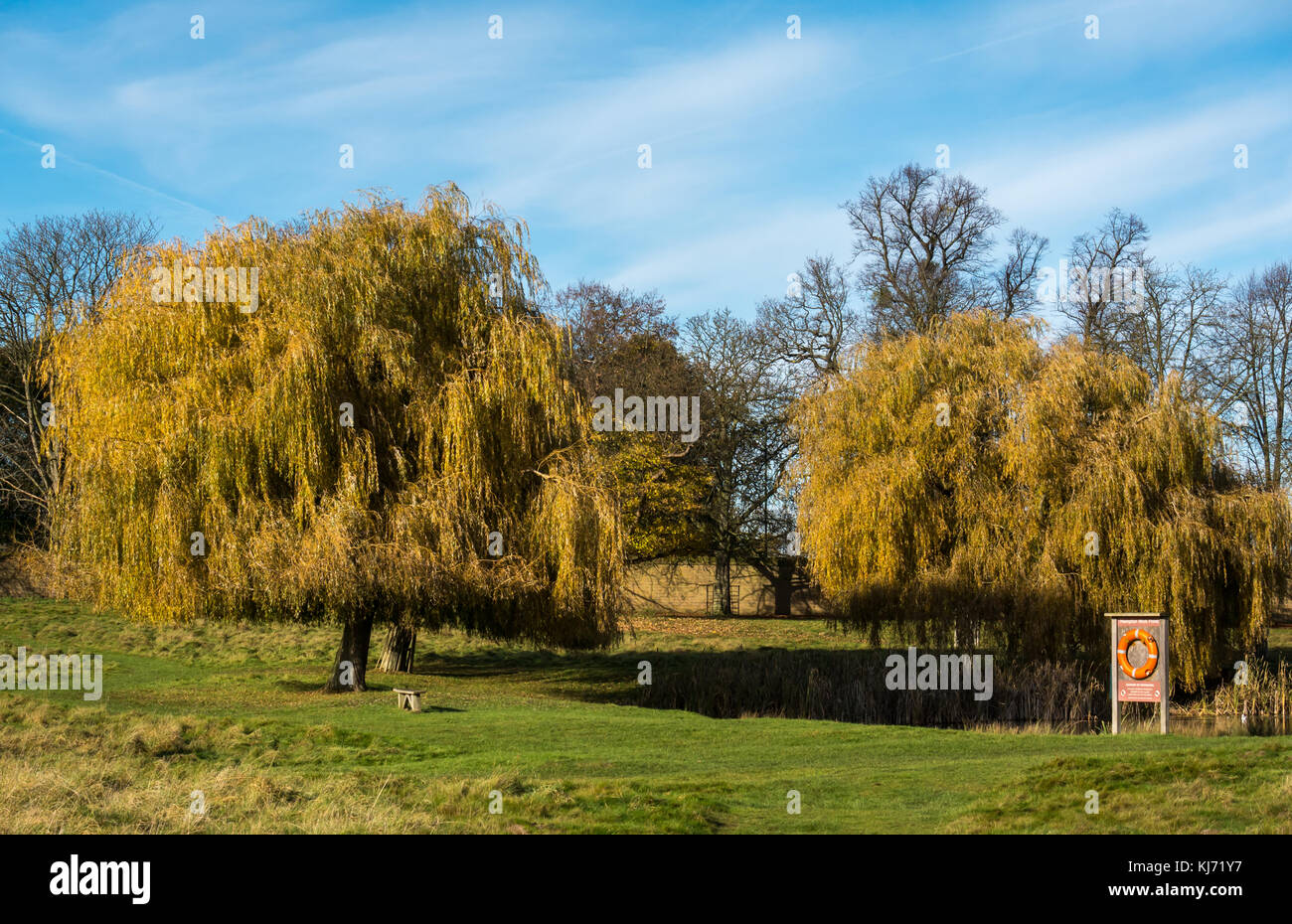Arbres, un banc et anneau bouée à côté de Hampton Wick, étang Home Park, London, England, UK, sur la journée ensoleillée d'automne avec ciel bleu Banque D'Images
