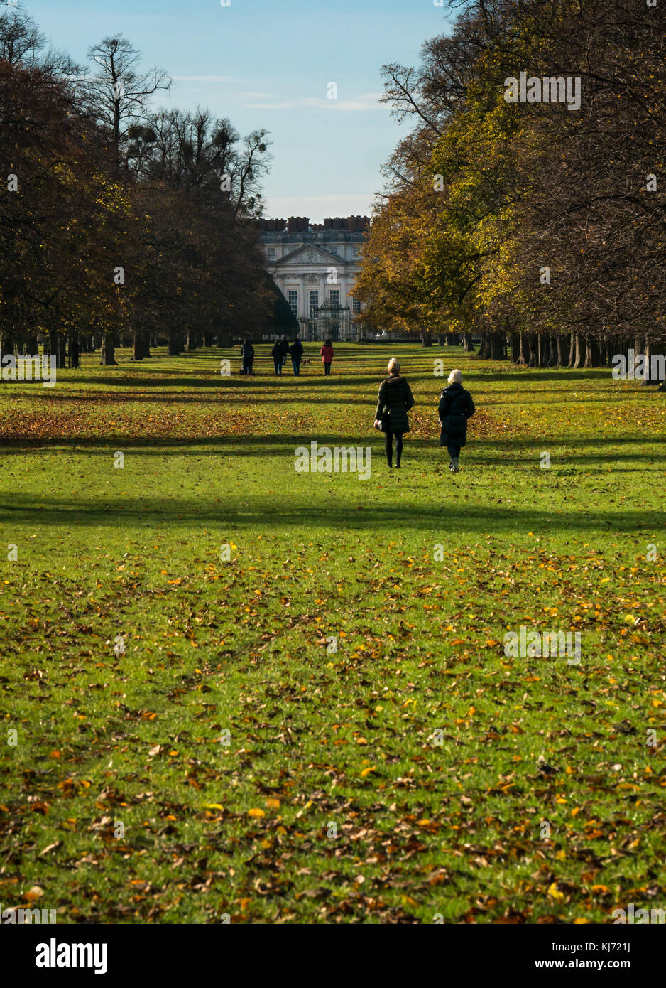 Les personnes qui l'allée de tilleuls à Hampton Court Palace en Home Park, Londres, Angleterre, Royaume-Uni, au jour d'automne avec les feuilles mortes sur le terrain Banque D'Images