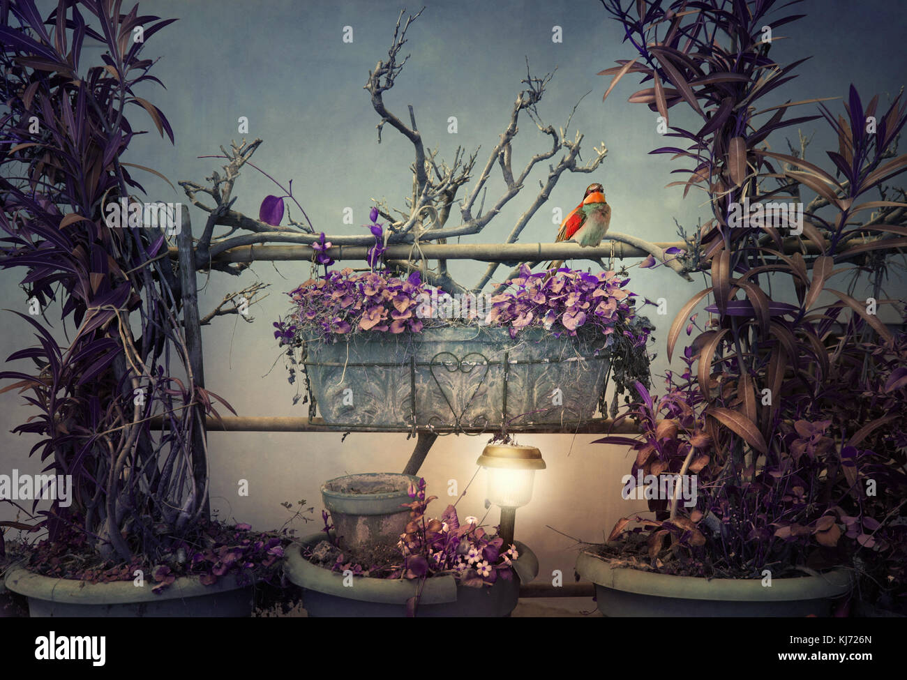 Belle image artistique représentant une composition de plantes branches et un petit oiseau dans un cadre irréel Banque D'Images