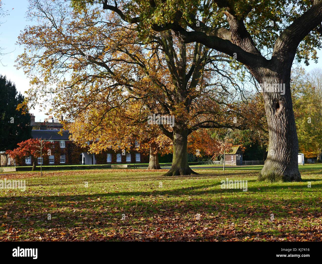 Marble Hill Park à Twickenham, London Banque D'Images