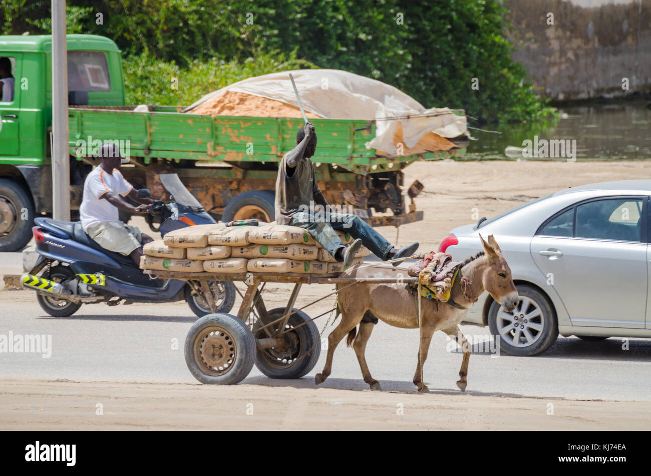 Nouakchott, Mauritanie - 08 octobre 2013 : scène de rue avec des véhicules et des ânes Banque D'Images