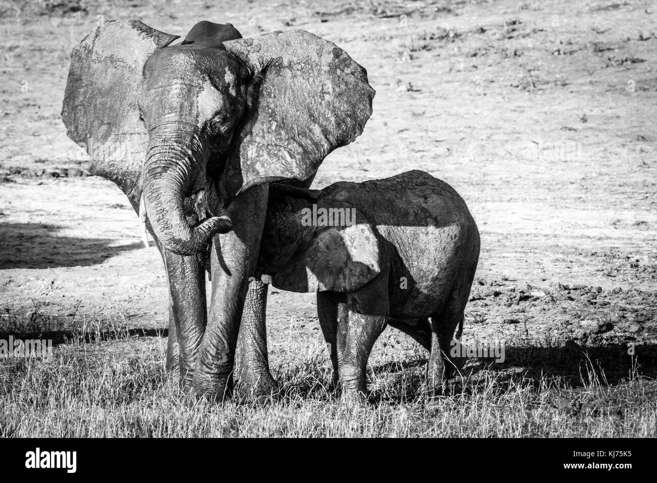 Hors de la baignoire 3 Banque D'Images