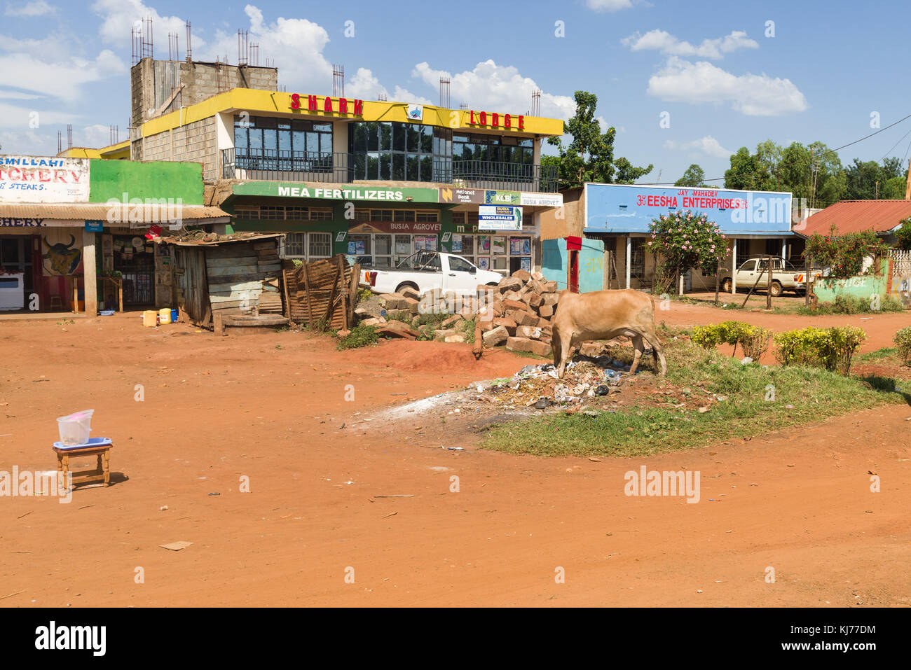 .Une vache solitaire broute des ordures jetées à l'extérieur de petits bâtiments dans une ville, l'Ouganda, l'Afrique de l'Est Banque D'Images