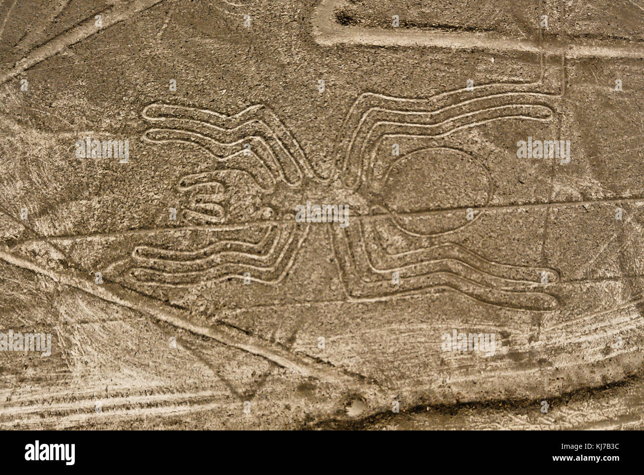 Les lignes de Nazca, vue de l'araignée un avion, Nazca, au Pérou. Banque D'Images