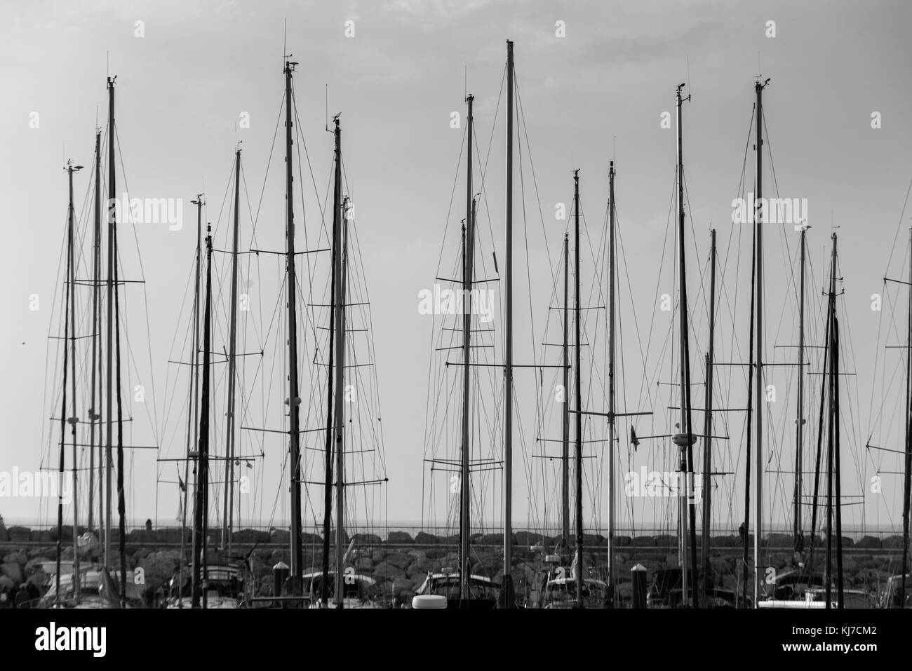 Bateaux amarrés à la marina de Tel Aviv, Haifa, Tel Aviv, Israël Banque D'Images