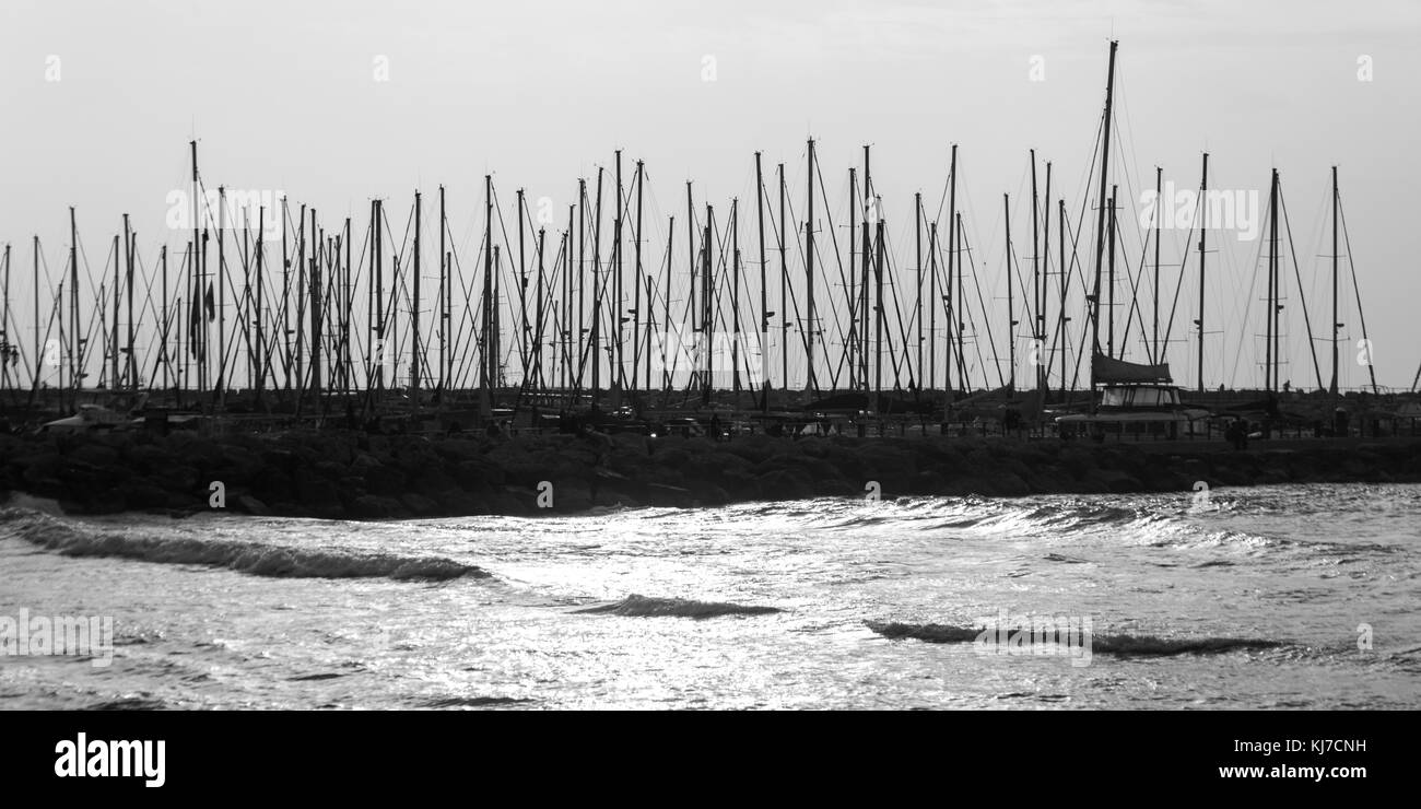 Bateaux amarrés à la marina de Tel Aviv, Haifa, Tel Aviv, Israël Banque D'Images