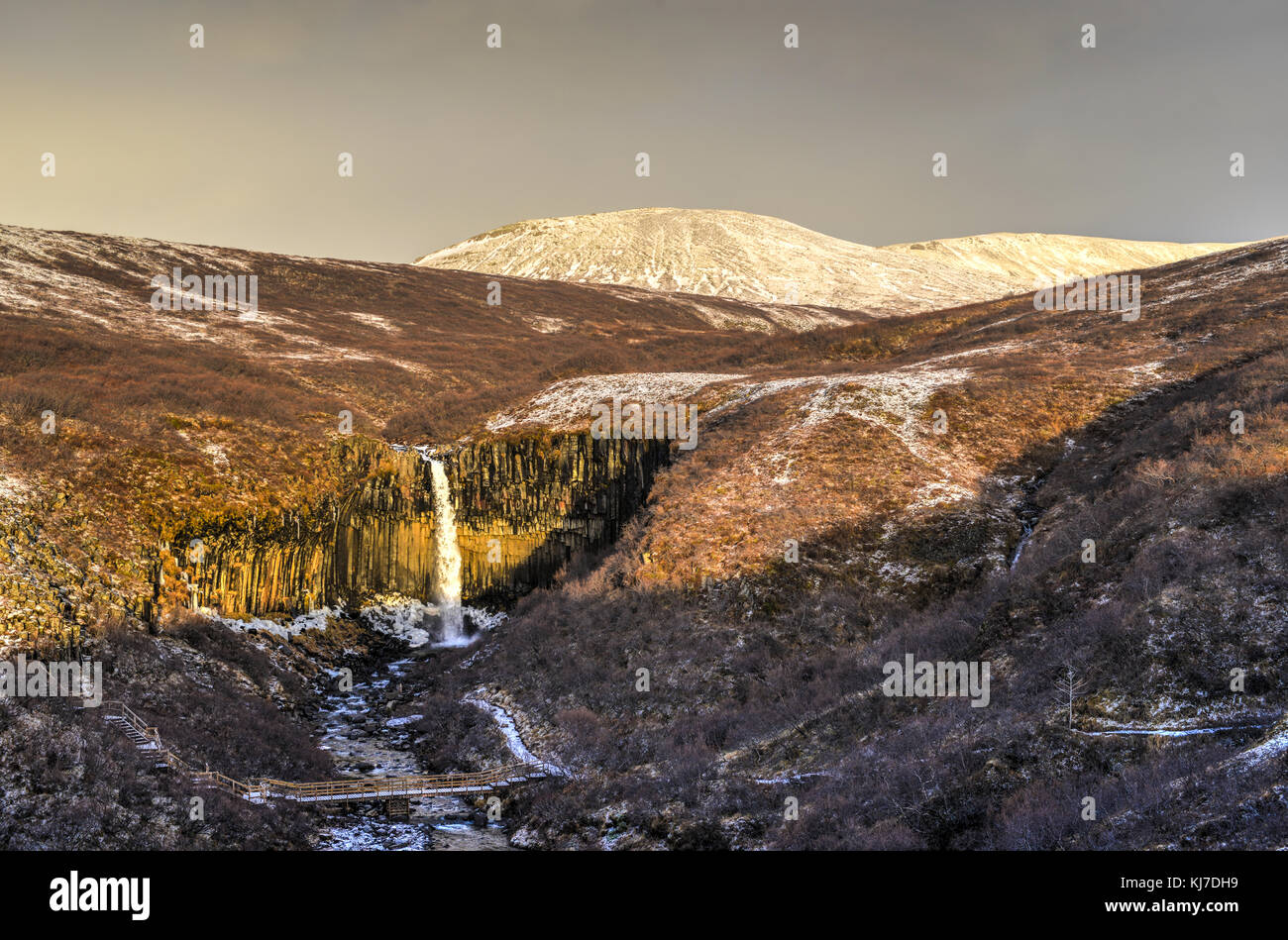 Svartifoss Water au début de l'hiver. Svartifoss (chute d'eau noire) est une chute d'eau dans le parc national de Vatnajökull en Islande, et est l'une des plus Banque D'Images