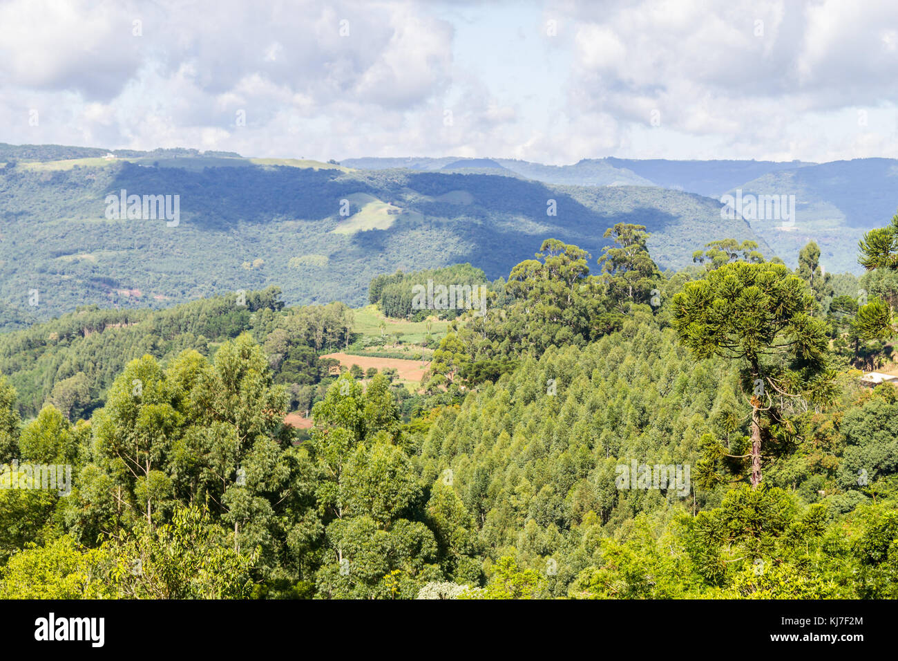 Valley et les montagnes de nova Petropolis, Rio Grande do Sul, Brésil Banque D'Images