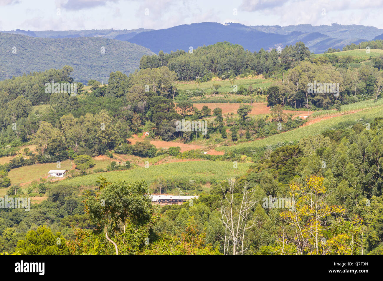 Ferme en vallée et les montagnes dans la région de nova Petropolis, Rio Grande do Sul, Brésil Banque D'Images