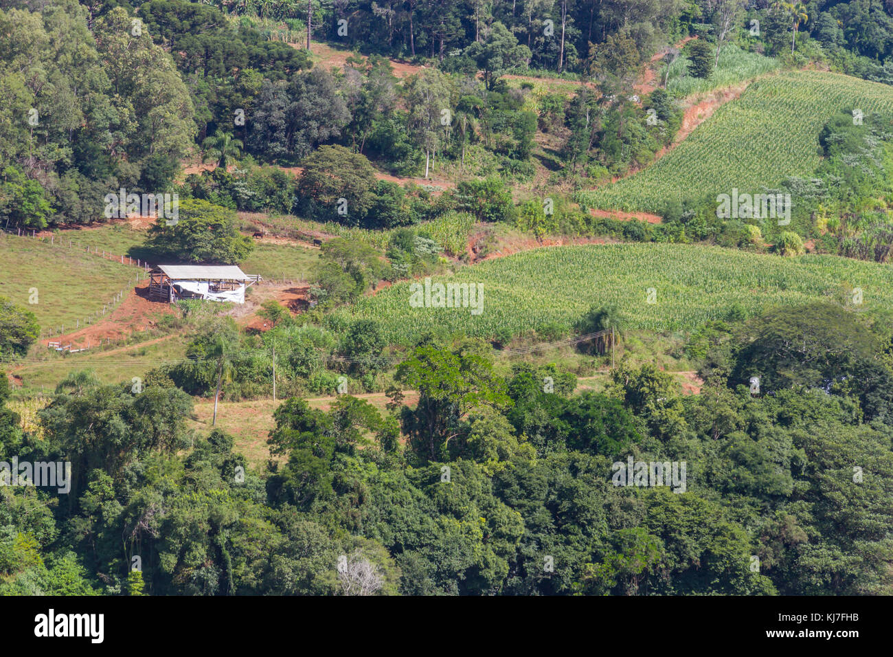 Ferme en vallée et les montagnes dans la région de nova Petropolis, Rio Grande do Sul, Brésil Banque D'Images