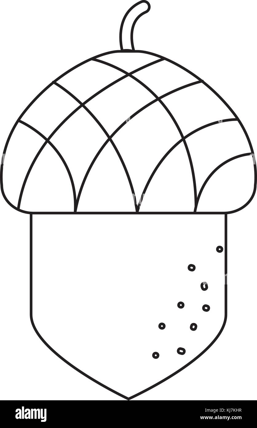 Conception d'acorn isolés Illustration de Vecteur