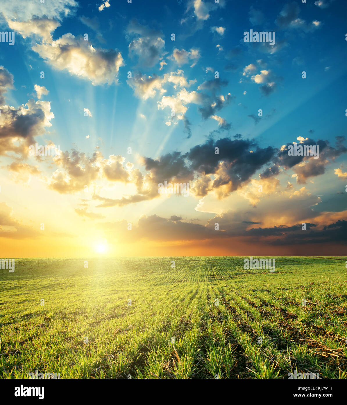Coucher du soleil brillant dans les nuages sur green grass field Banque D'Images