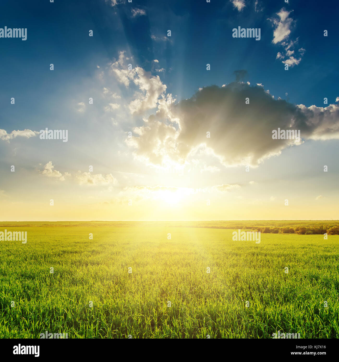 Les nuages bas au coucher du soleil sur le champ d'herbe verte Banque D'Images
