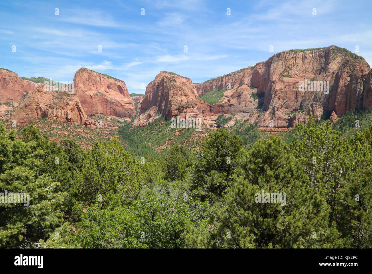 Formations de grès Navajo vues depuis Kolob Canyons Rd sur NW Côté du parc national de Zion Banque D'Images