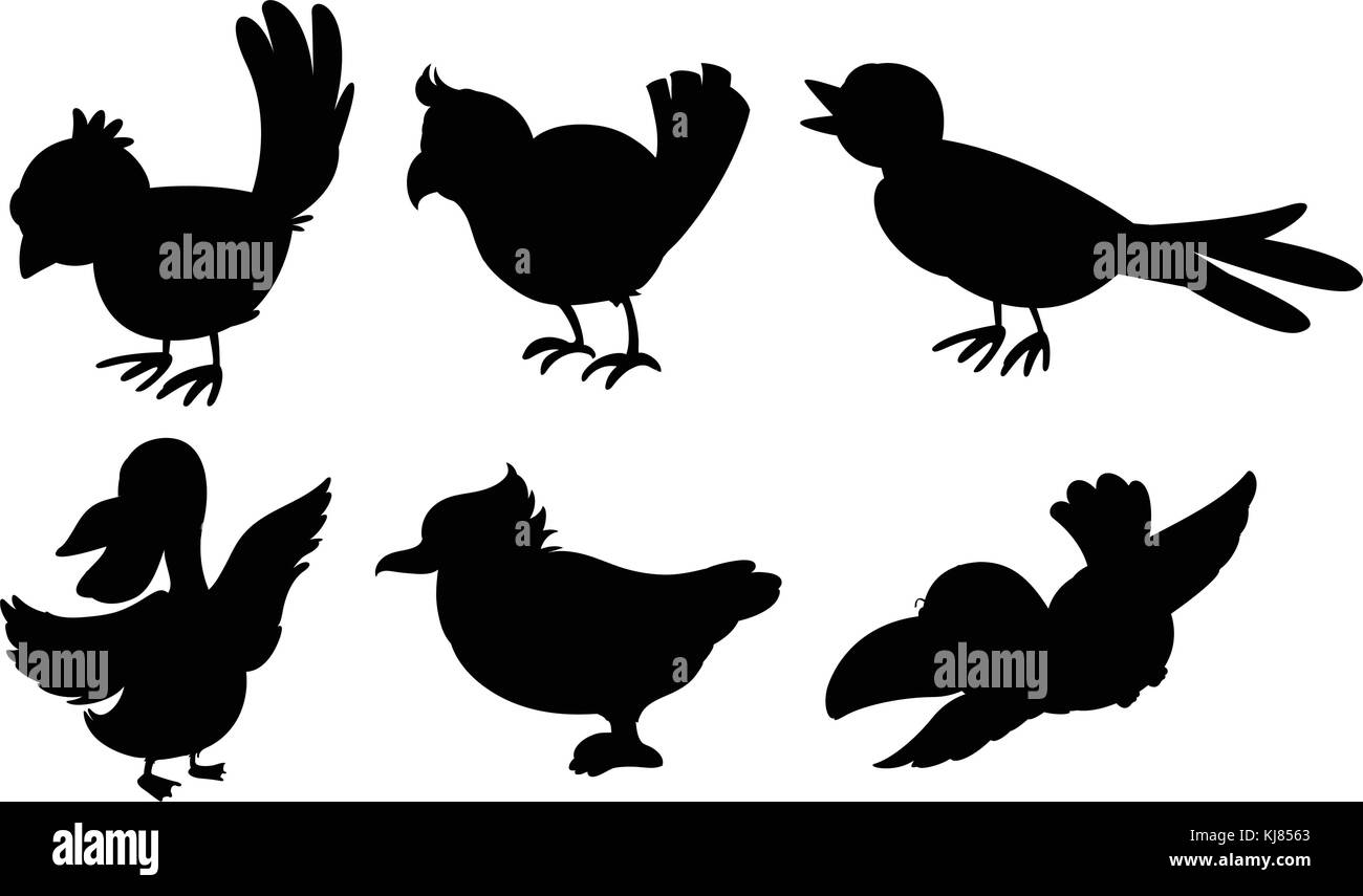 Illustration des silhouettes d'oiseaux sur fond blanc Illustration de Vecteur