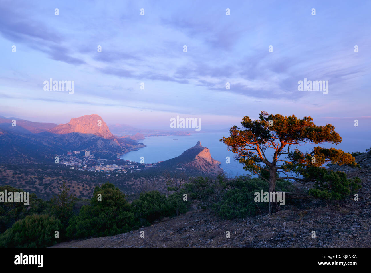 Seul arbre sur le bord de la falaise Banque D'Images