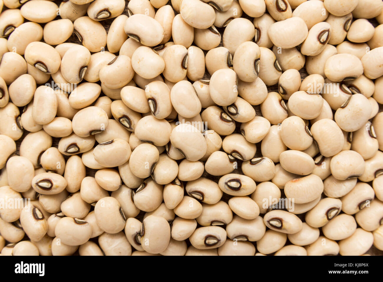 Vigna unguiculata est nom scientifique de Black Eyed pea légumineuse. Également connu sous le nom de pois de chèvre, Californie dolique et feijao fradinho. libre des grains, bac Banque D'Images