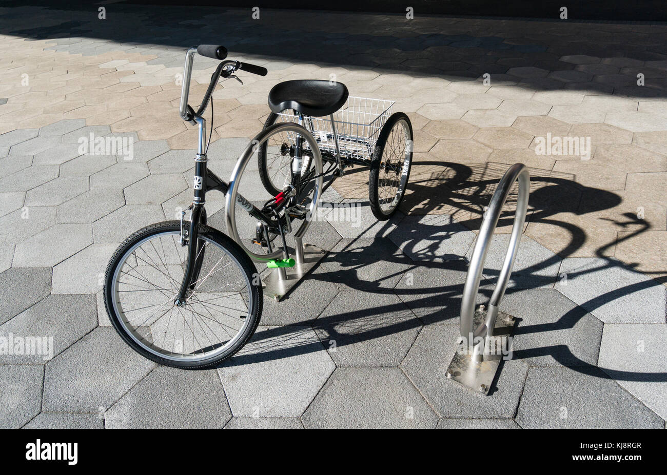 Tricycle de la femme avec panier fixé sur un porte vélo tour in nyc Photo  Stock - Alamy