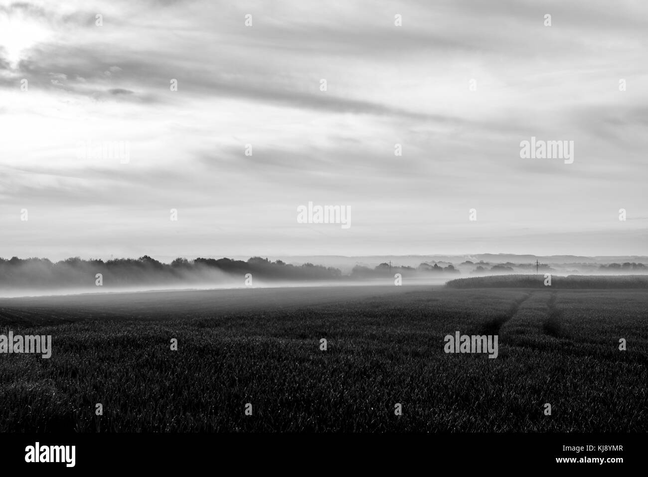 paysage brumeux Banque D'Images