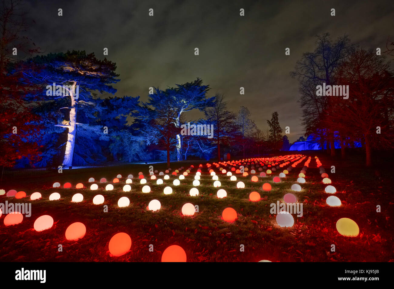 Londres, Royaume-Uni. 21 nov, 2017. vues de la nuit de Noël à Kew, un après-obscurité à pied et d''installations sonores à Kew Gardens, à l'ouest de Londres, maintenant dans sa cinquième année. photo date : mardi, 21 novembre, 2017. crédit : Roger garfield/Alamy live news Banque D'Images