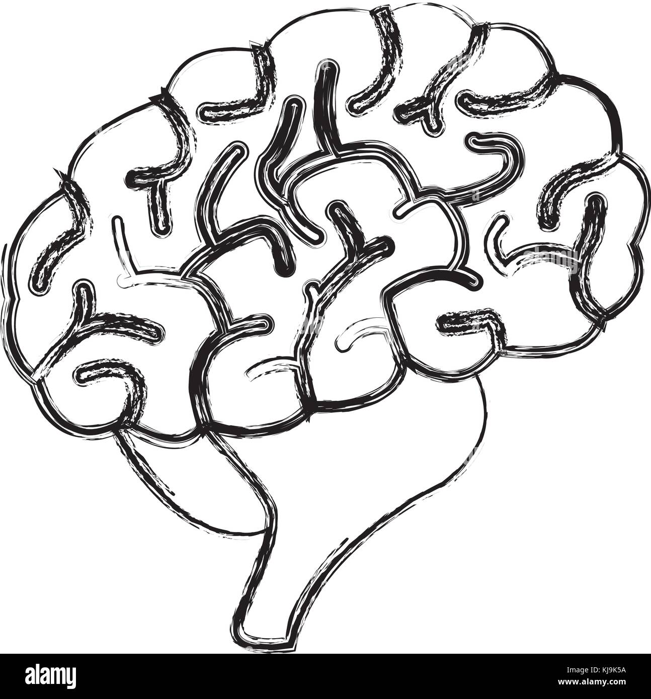 Symbole du cerveau humain Illustration de Vecteur