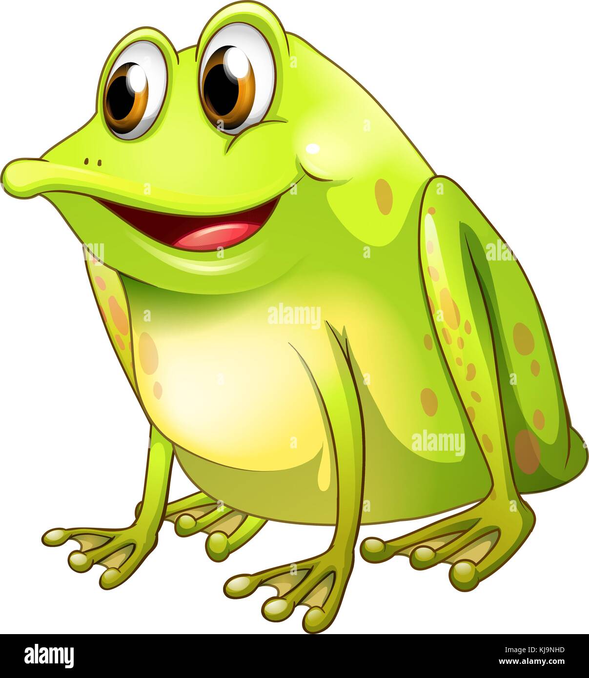 Illustration d'un bullfrog vert sur fond blanc Illustration de Vecteur