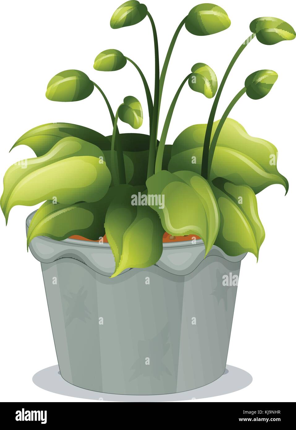 Illustration d'une plante verte dans un pot gris sur fond blanc Illustration de Vecteur