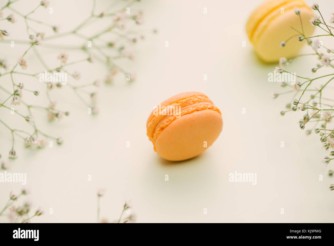 Matin cake macaron et fleur gypsophila sur fond vert clair à partir de ci-dessus. petit-déjeuner confortable. télévision style laïcs. Banque D'Images