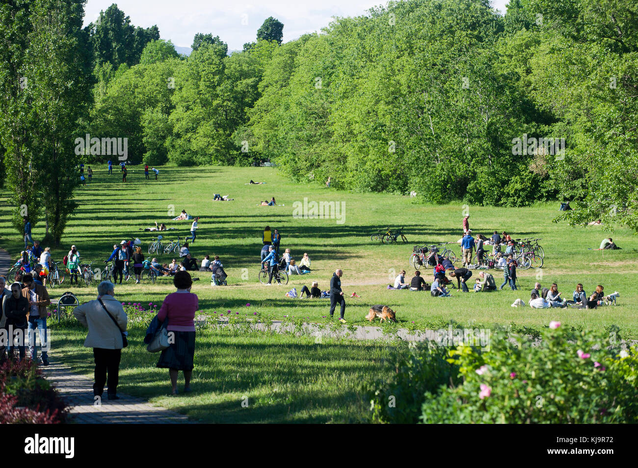 Parco Nord Milano est une banlieue métropolitaine park situé dans la périphérie nord de Milan. Classé comme world, il s'étend entre les villes de Milan, Bresso, Cornaredo, Milan, Milano, Sesto San Giovanni. Banque D'Images