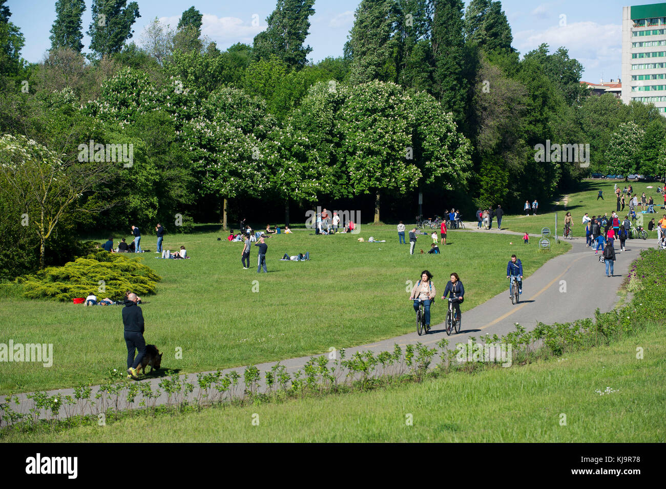 Parco Nord Milano est une banlieue métropolitaine park situé dans la périphérie nord de Milan. Classé comme world, il s'étend entre les villes de Milan, Bresso, Cornaredo, Milan, Milano, Sesto San Giovanni. Banque D'Images