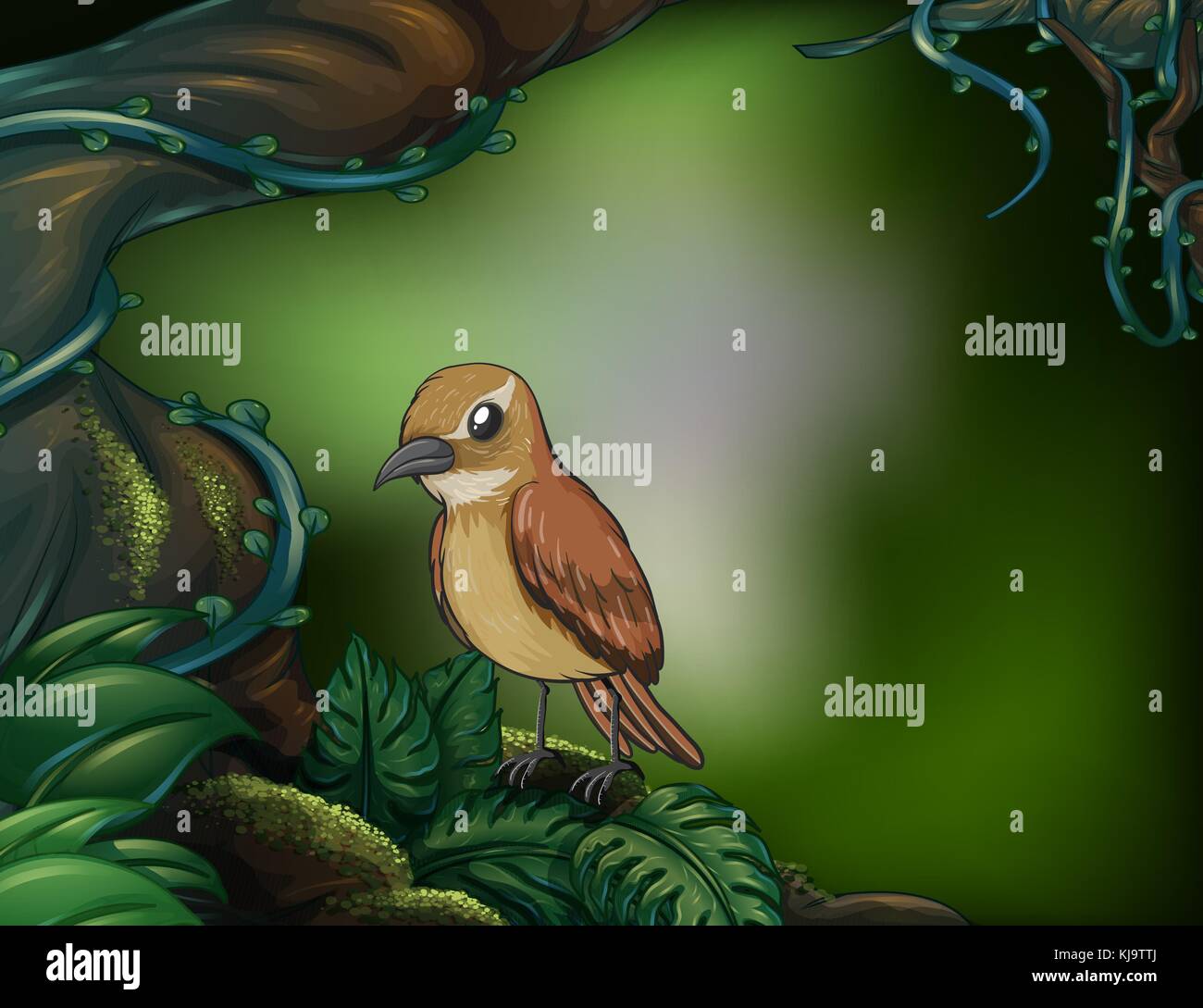 Illustration d'un oiseau sur la forêt tropicale Illustration de Vecteur