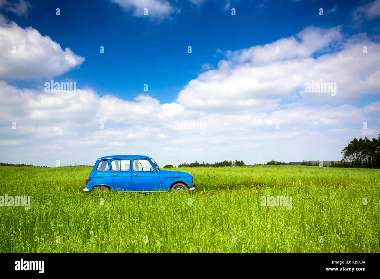 Belle vieille voiture d'époque sur un pré vert Banque D'Images