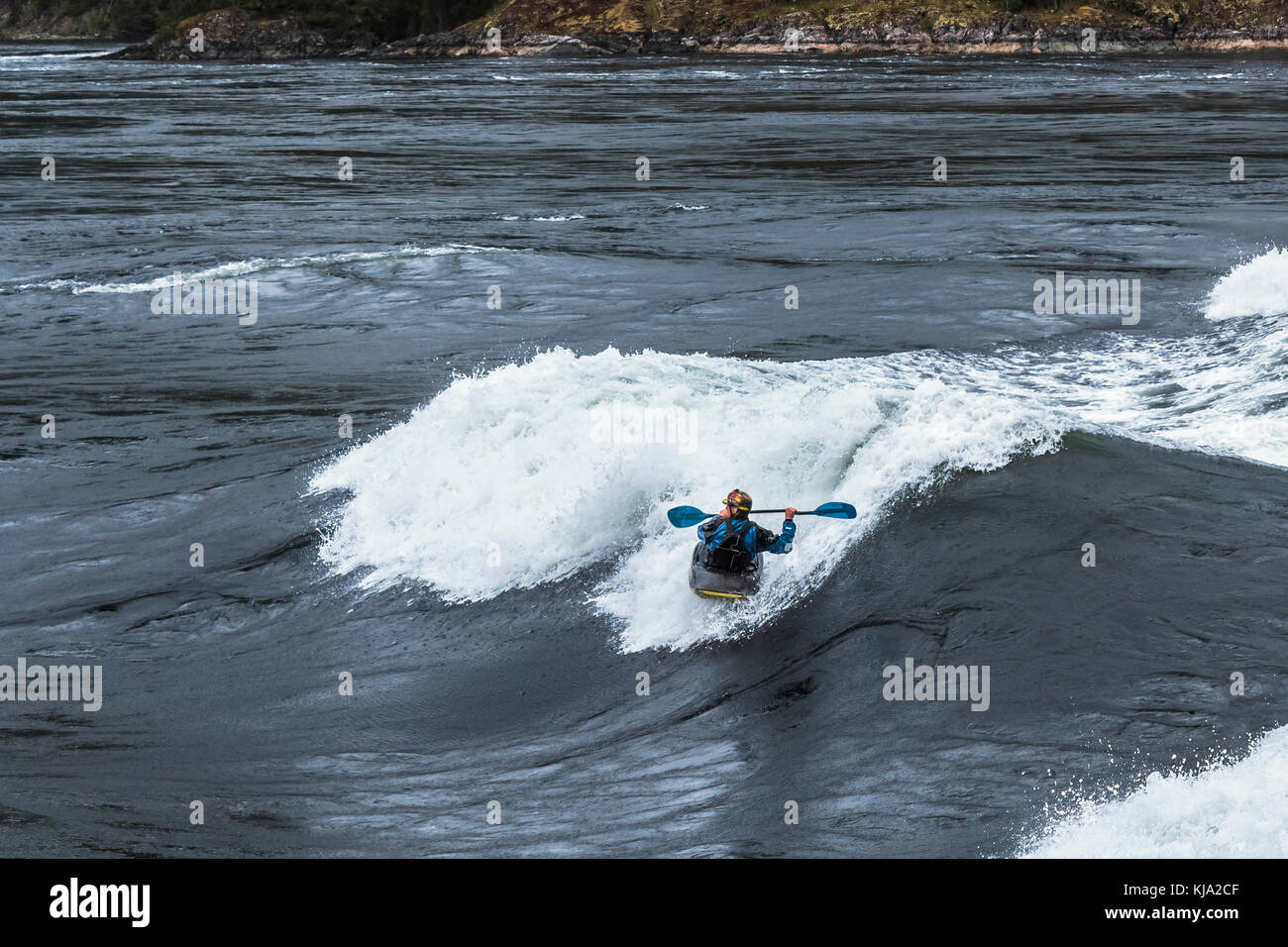 Un playboating lève la paddle surf kayak alors qu'une énorme vague à Sechelt Rapids (kookumchuck «'), l'une des plus rapides du monde passe de marée. Banque D'Images