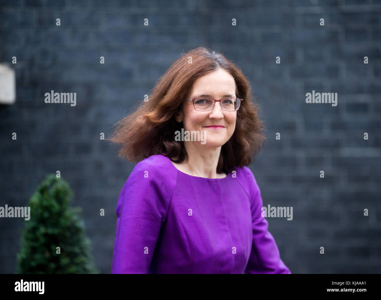 Theresa Villiers, député de Chipping Barnet, à Downing Street pour une réunion Banque D'Images