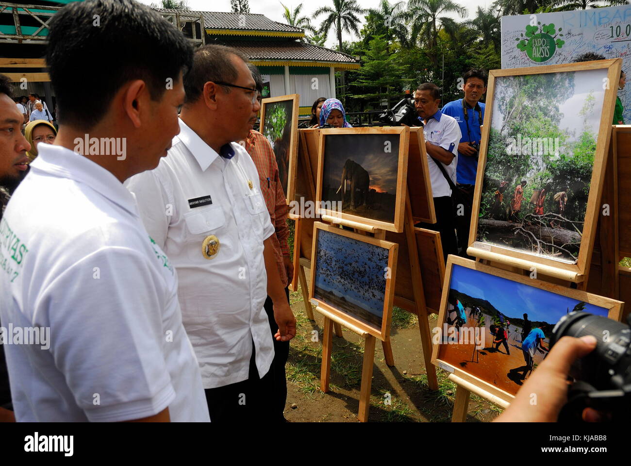 La fondation biodiversité kehati (Indonésie) a organisé une exposition " expo la conservation des forêts tropicales de Sumatra (action aksis version hypertexte crée en 2017). Cet événement a eu lieu par la forêt tropicale pour action conservaton sumatera (tfca-sumatera programme) où toute la série d'activités implique des campagnes visant à améliorer la durabilité de la forêt et de la biodiversité, à travers cette exposition tfca campagne pour tous les éléments de la société de continuer à préserver les forêts tropicales, cet événement comprend également des talk shows, cliniques d'entraînement, des expositions de photos, de l'environnement concours photo, concours, café et aussi diverses activités fo Banque D'Images