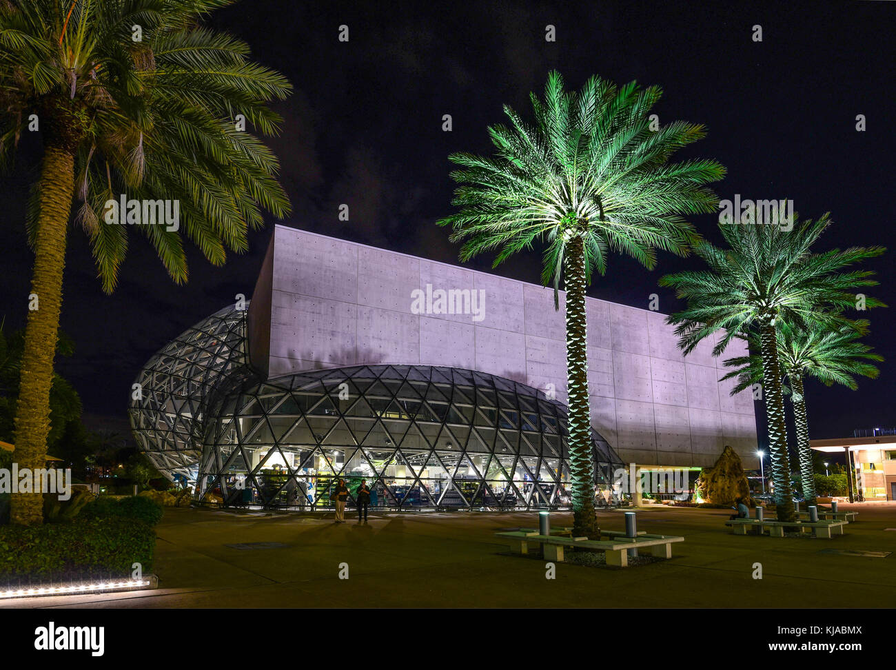 Photo de l'extérieur de Salvador Dali Museum, St Petersburg, Floride avec des palmiers dans la nuit Banque D'Images