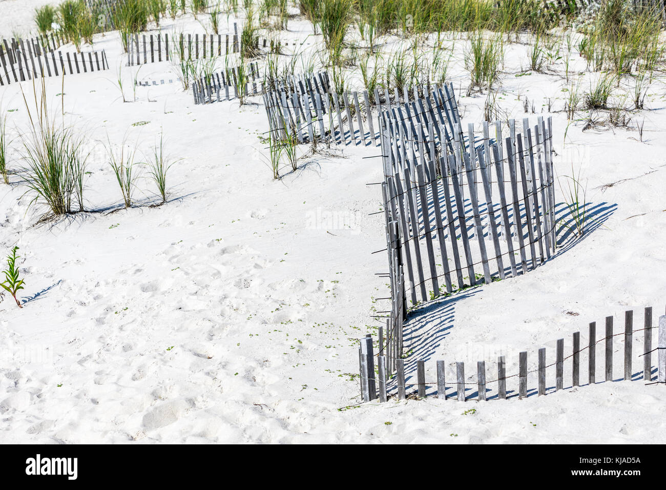 L'escrime de plage à Southampton, New York Banque D'Images