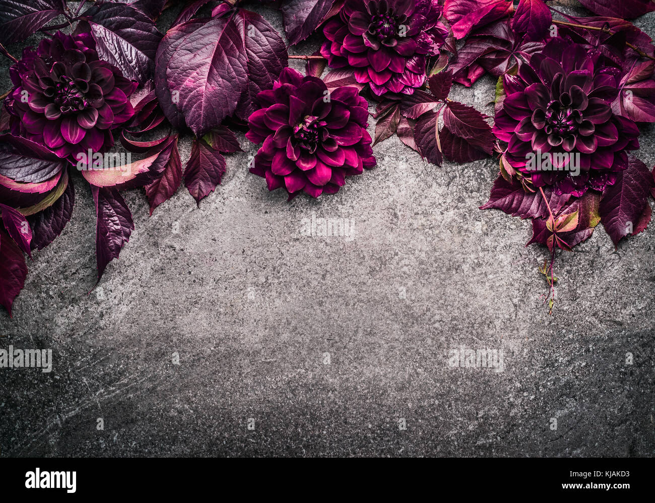 Dentelle et frontière avec des fleurs, feuilles et pétales sur fond gris, haut, placez le texte Banque D'Images